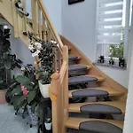 Jehle Sued Nord * Руст